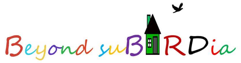 Beyond subirdia logo