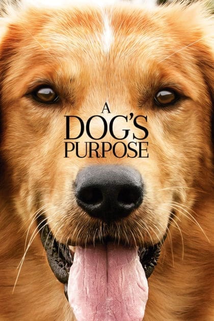 Dogs purpose