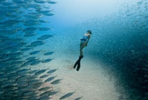 Photo by travis burke freediver chelsea yamasee mres horizontal