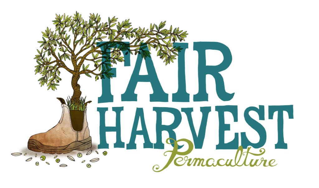 Fair harvest logo lowres