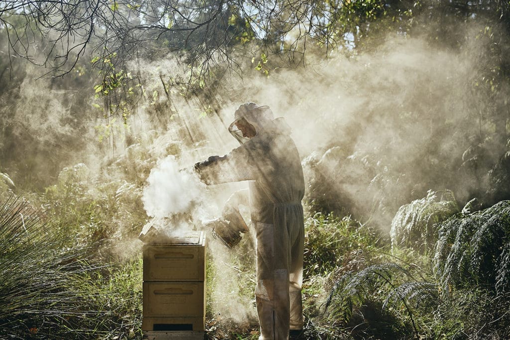 Beekeeping photoord 199 copy