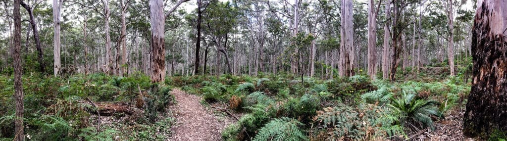 Things to do in margaret river 1 Photo 27 11 17 3 30 49 pm 1 1