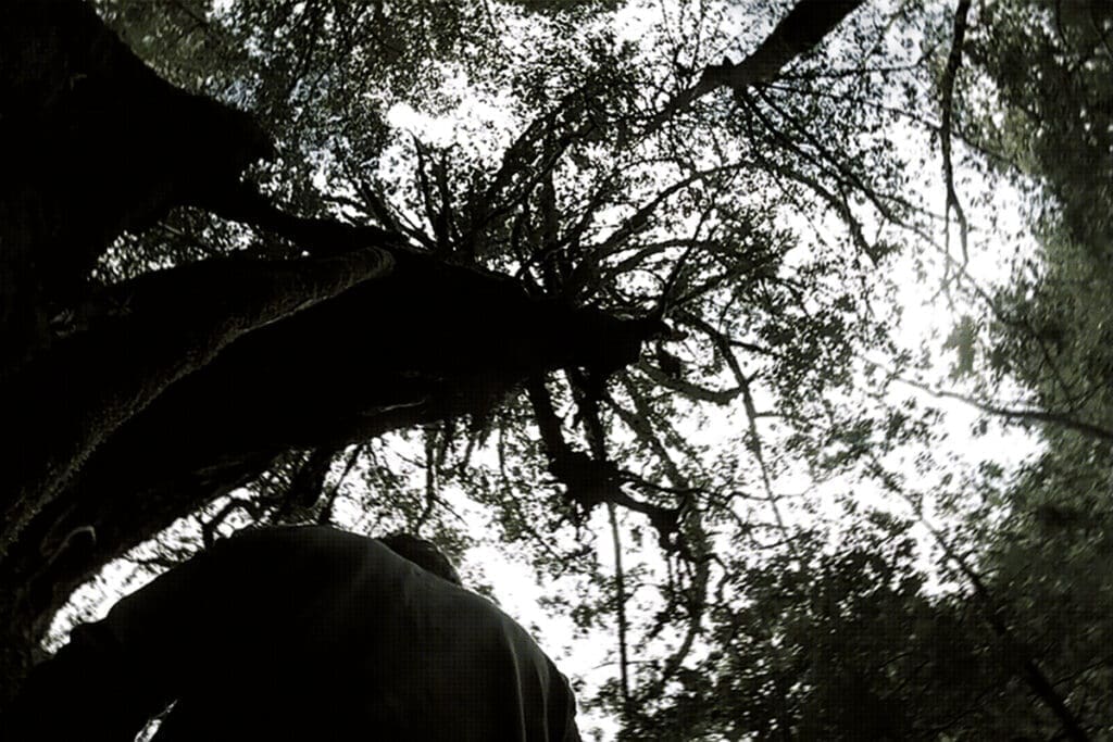 Primordial disclosures xiv