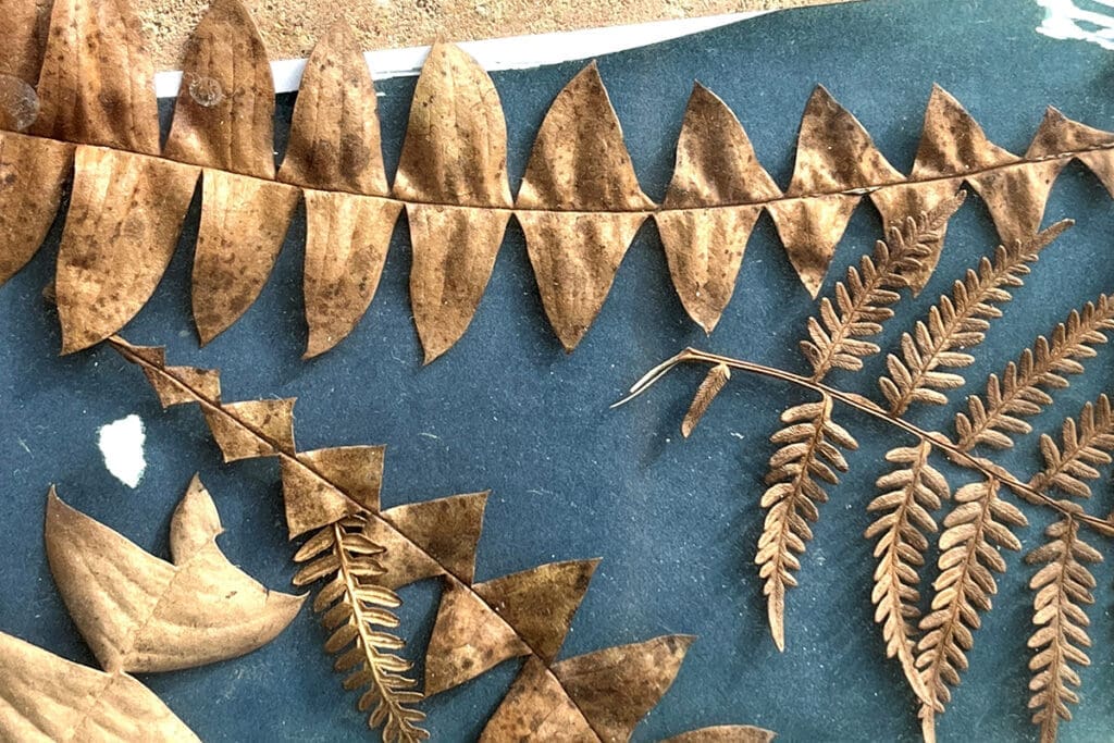 Cyanotype workshop