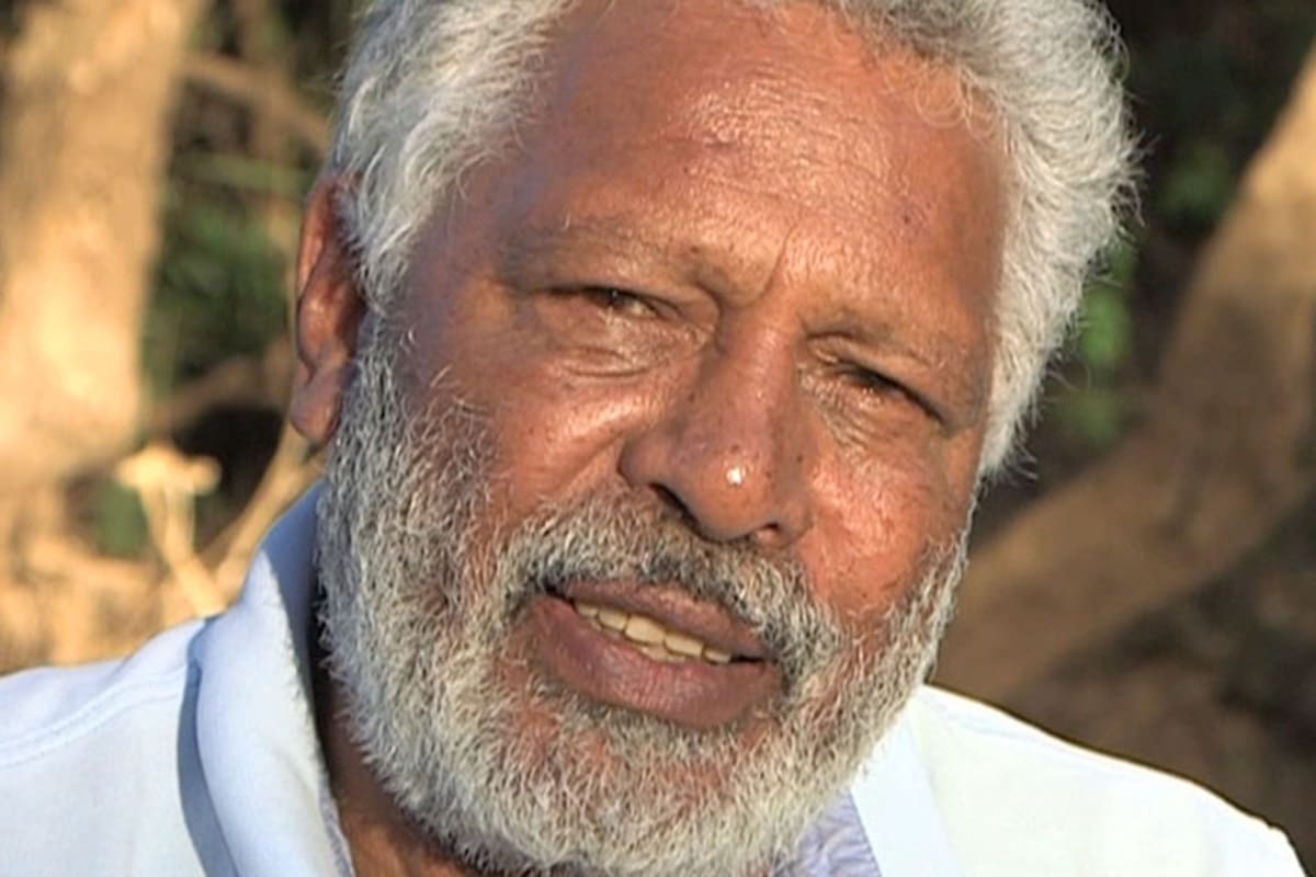 Ernie dingo