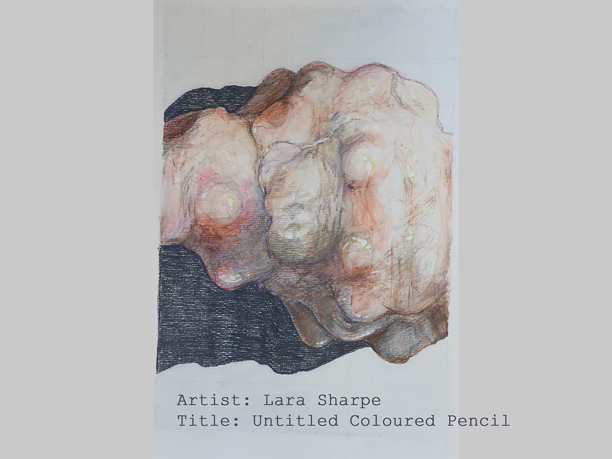 Untitled coloured pencil on paper by lara sharpe 1