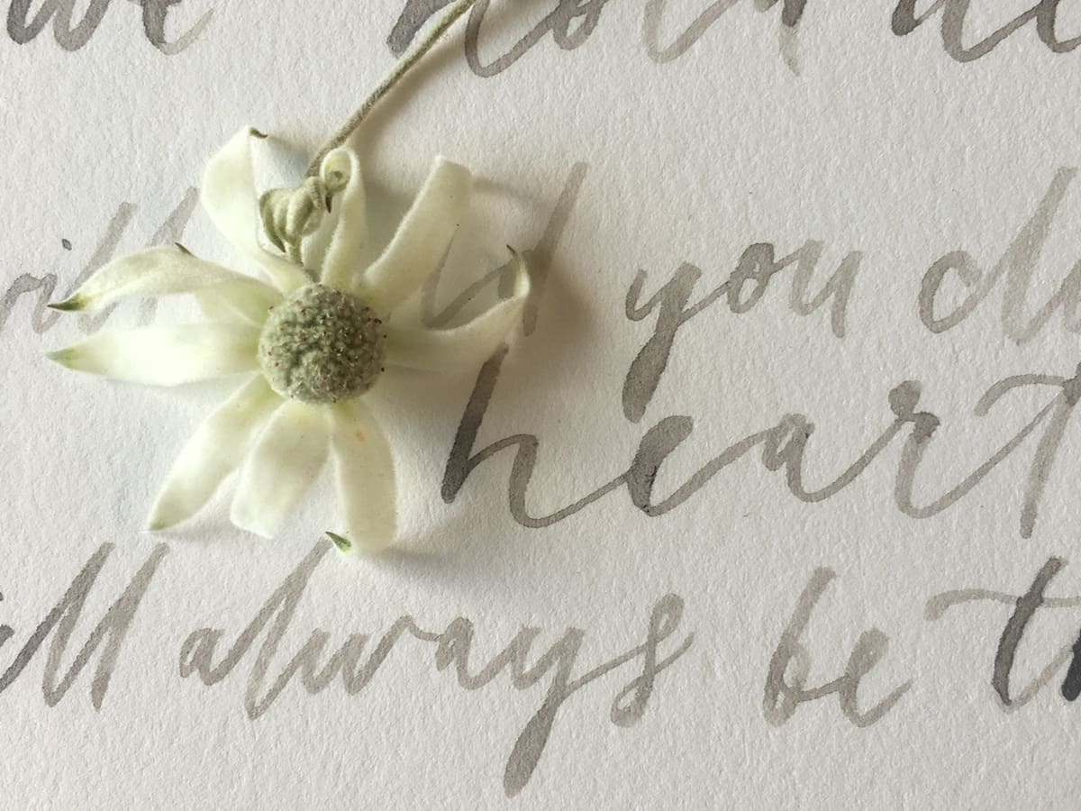 Thelittlepress vows brushlettering watercolour 2
