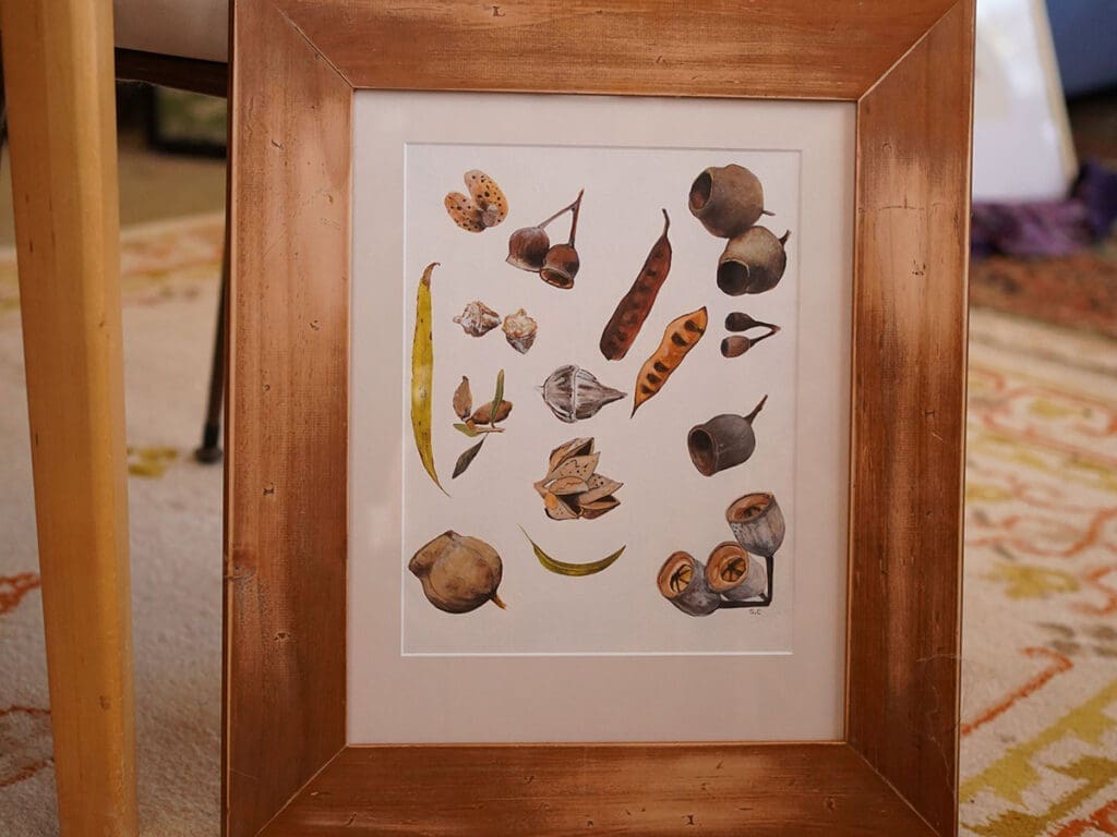 Seedpodsleaves