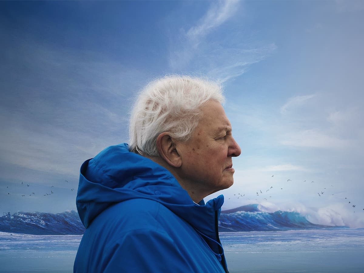 OCEAN WITH DAVID ATTENBOROUGH