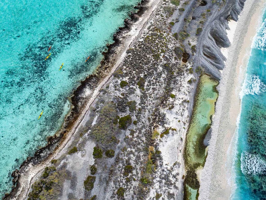 6 abrolhos daniela tommasi photography