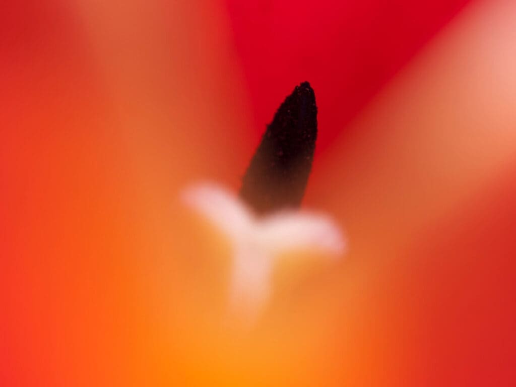 Blast off 1