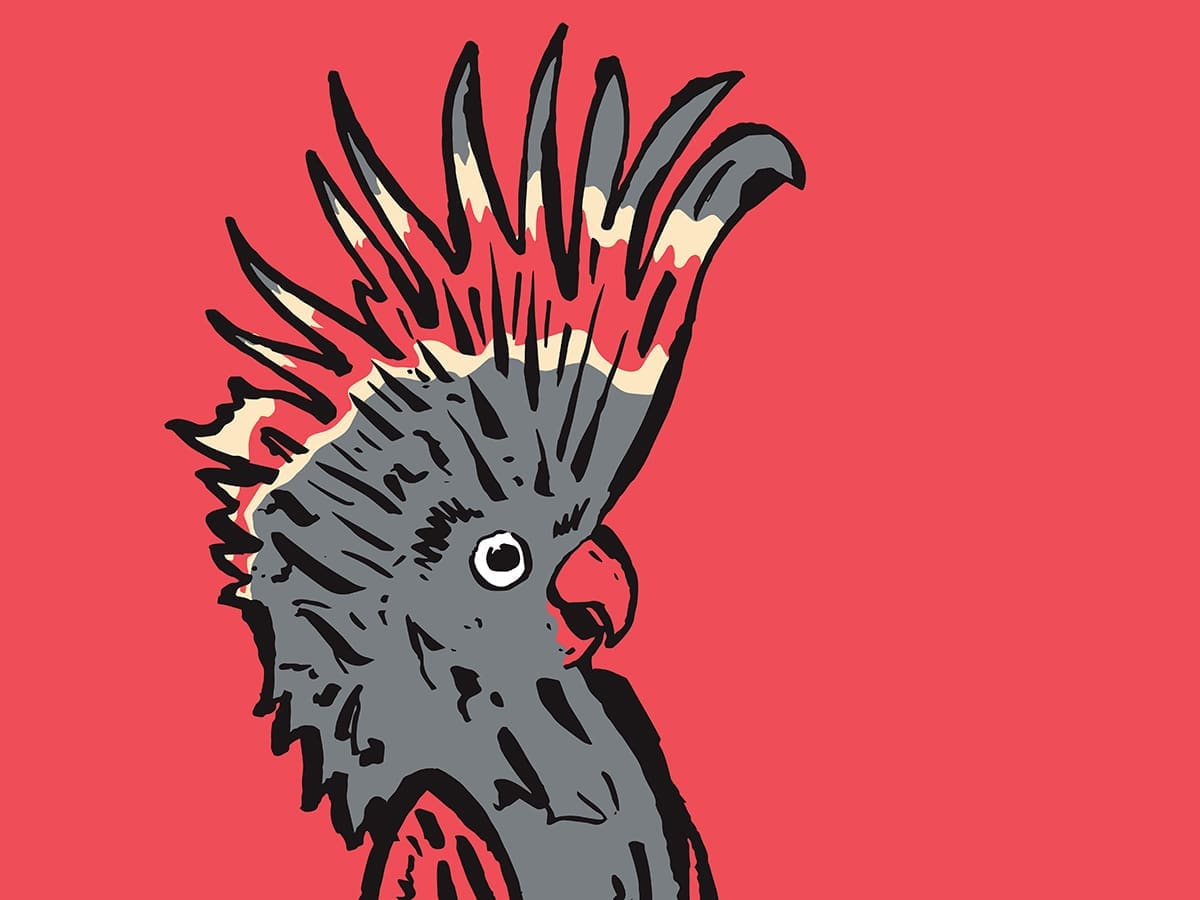 Melbourne International Comedy Festival Roadshow