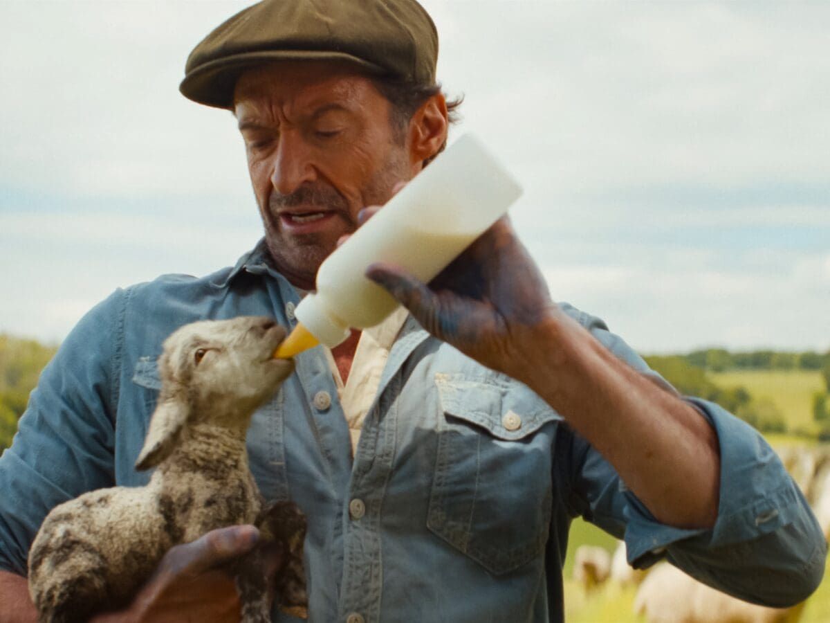 The Sheep Detectives