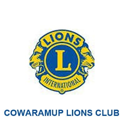 Lions-logo