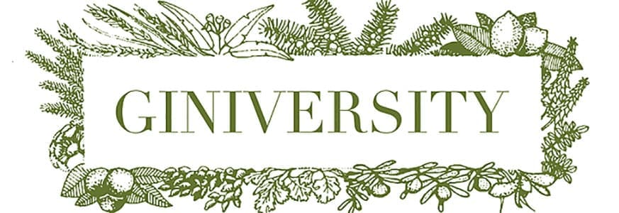 Giniversity logo